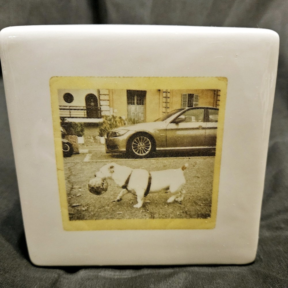 Rae Dunn Polaroid Dog “keep CALM and carry a ball.” Home Decor